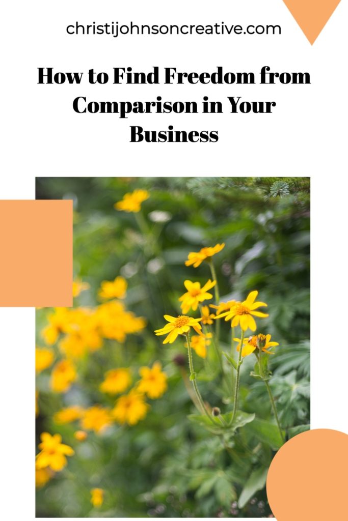 how to find freedom from comparison in your business